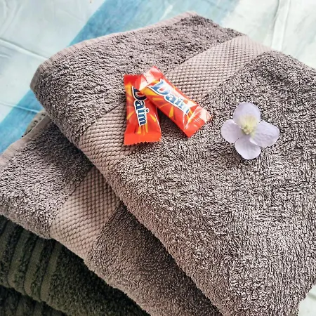 Zimmer Mit Fruehstueck De Graaff Egmond aan Zee