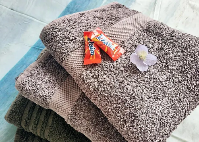 Zimmer Mit Fruehstueck De Graaff Egmond aan Zee